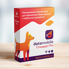 ПО DataMobile, версия Стандарт Pro в Саратове